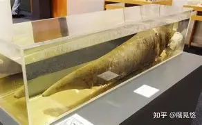 KAIYUN SPORTS- 风云突变法兰克福国际比赛日完成体检集结日克里夫兰骑士调整名单以备欧联，Ning在湖人比赛中连败瞬间刷屏
