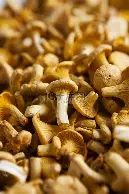  纽卡斯尔联迎战伯恩茅斯 